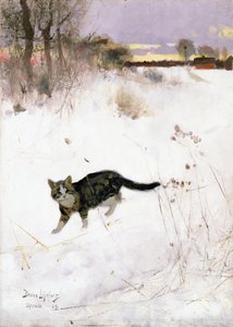 Chat Traquant sur la Neige